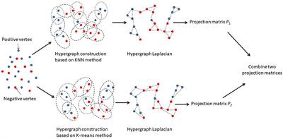 MSCHLMDA: Multi-Similarity Based Combinative Hypergraph Learning for Predicting MiRNA-Disease Association